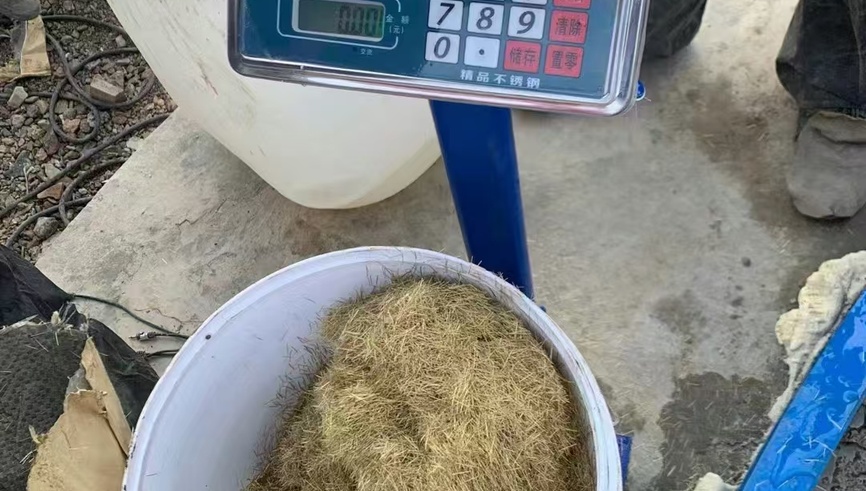 Proyecto de energía eólica de Jingneng Bayannur 400MW